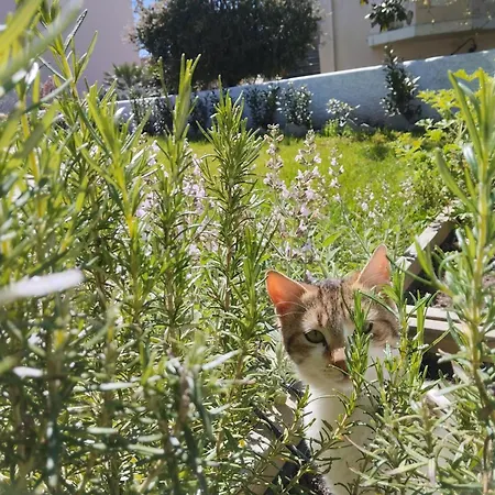 Theros Aegean Villa Nea Iraklitsa