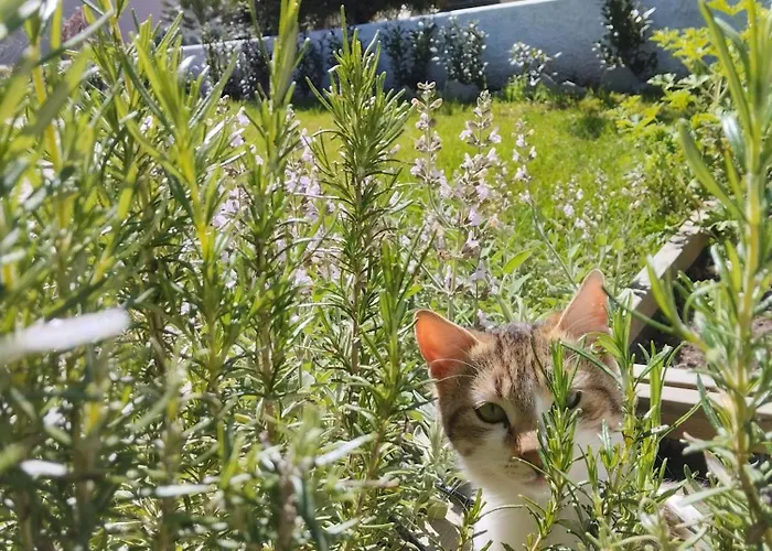 Theros Aegean Villa Nea Iraklitsa