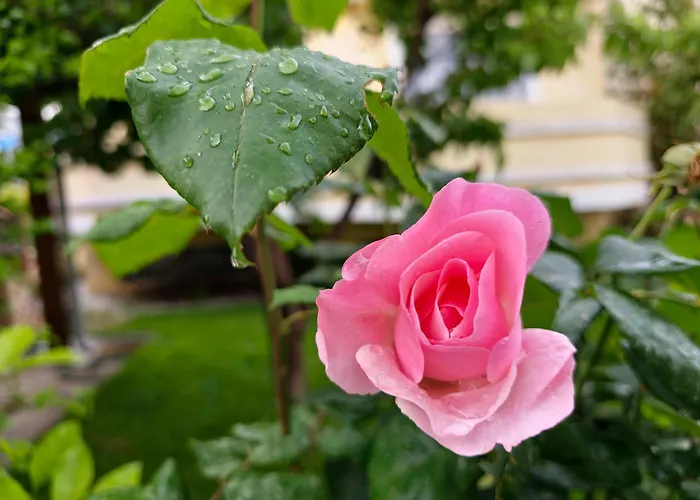 Theros Aegean Villa Nea Iraklitsa